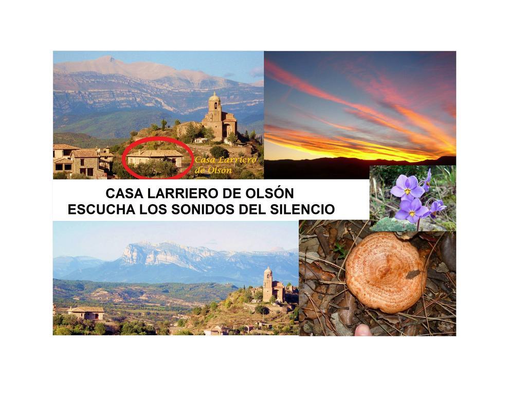Гостьовий будинок Casa Larriero De Olson Екстер'єр фото